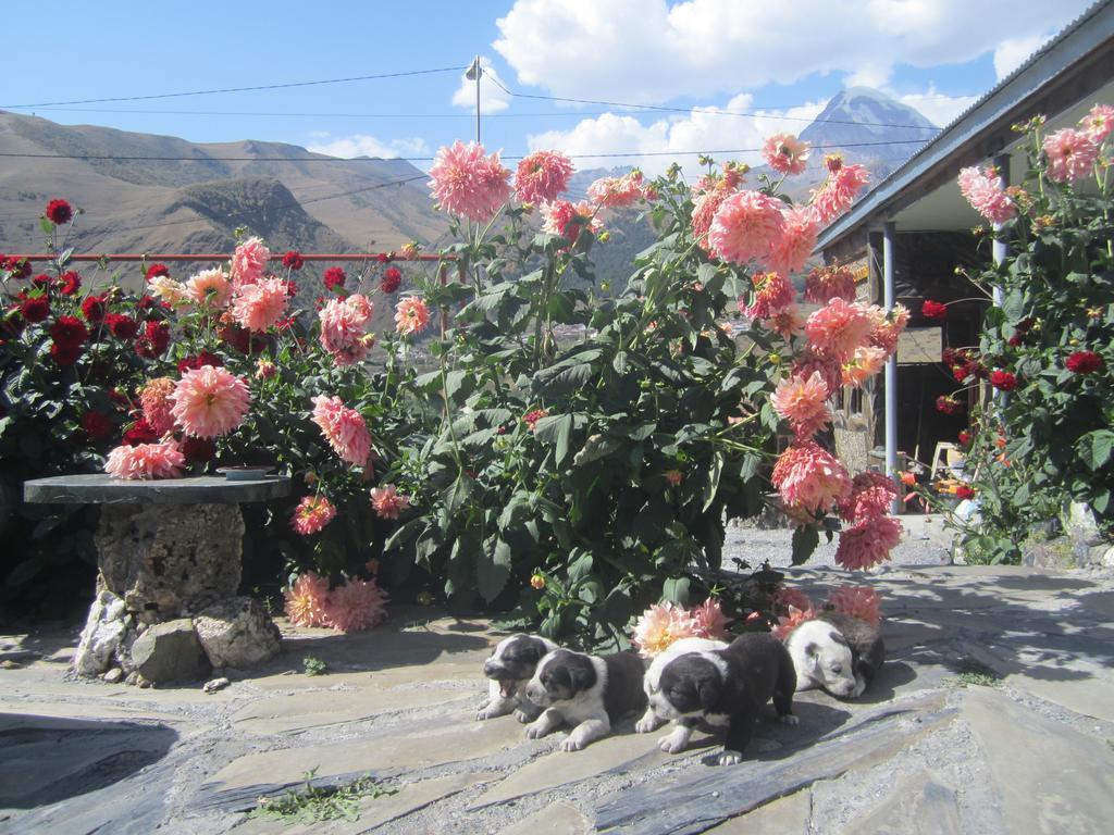 Qusha Guesthouse Meeting In The Mountains And Views Kasbegi Kamer foto