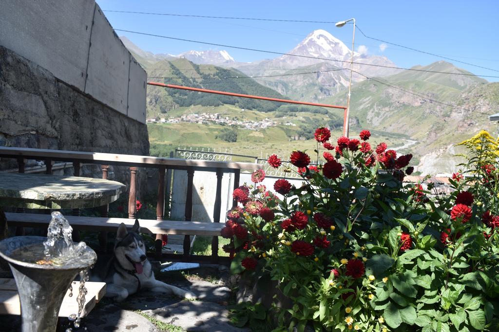 Qusha Guesthouse Meeting In The Mountains And Views Kasbegi Buitenkant foto