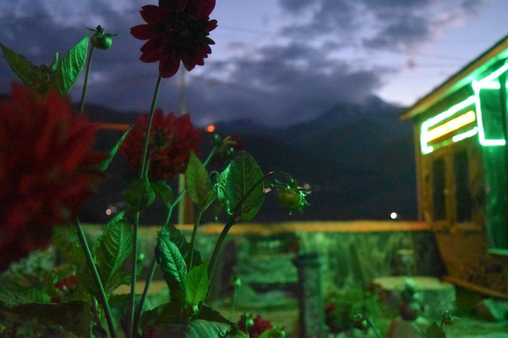 Qusha Guesthouse Meeting In The Mountains And Views Kasbegi Buitenkant foto