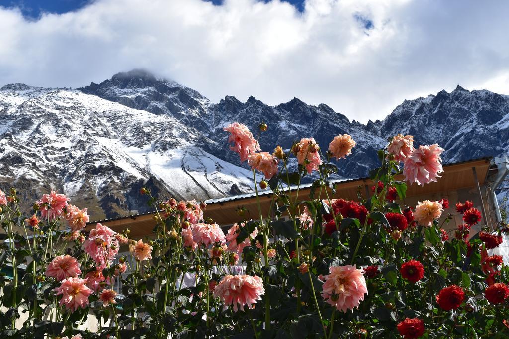Qusha Guesthouse Meeting In The Mountains And Views Kasbegi Buitenkant foto