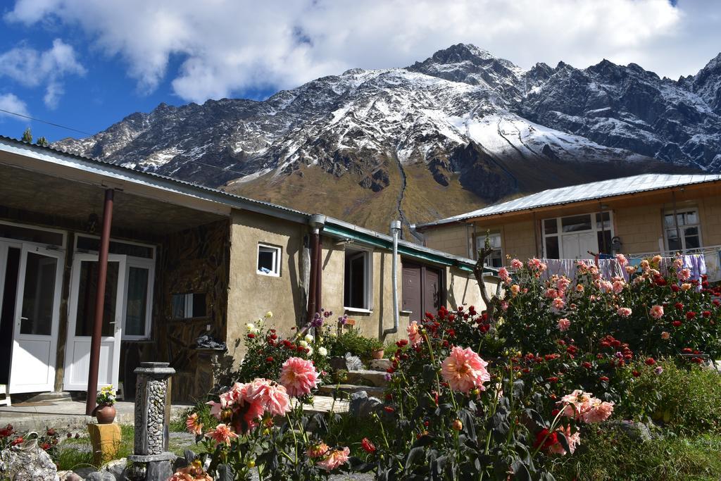 Qusha Guesthouse Meeting In The Mountains And Views Kasbegi Buitenkant foto